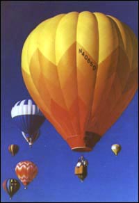 photo of hot air balloons