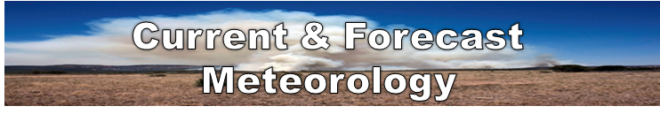 Current and forecast meteorology